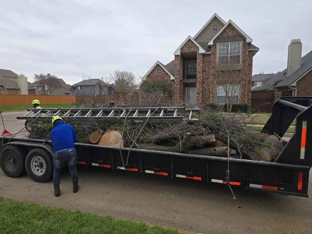 Expert Tree Pest Control with proper safety equipment in Leoti